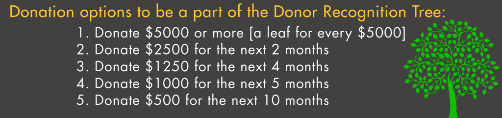 Donor Recognition Tree leaf design options at EIC